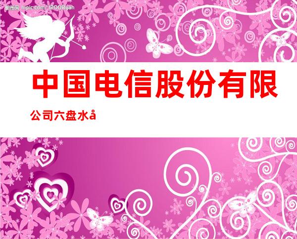 中国电信股份有限公司六盘水分公司
