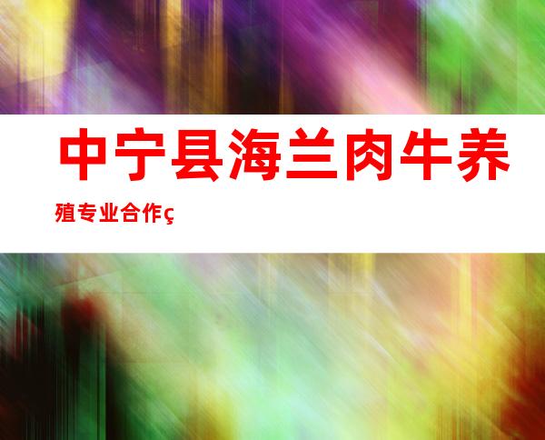 中宁县海兰肉牛养殖专业合作社