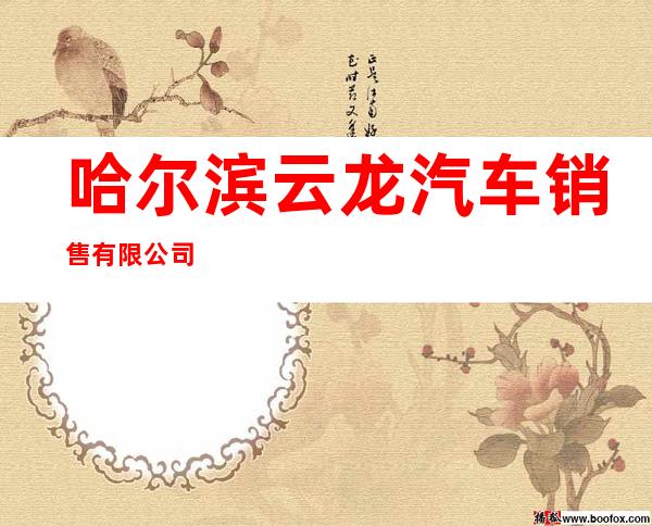 哈尔滨云龙汽车销售有限公司