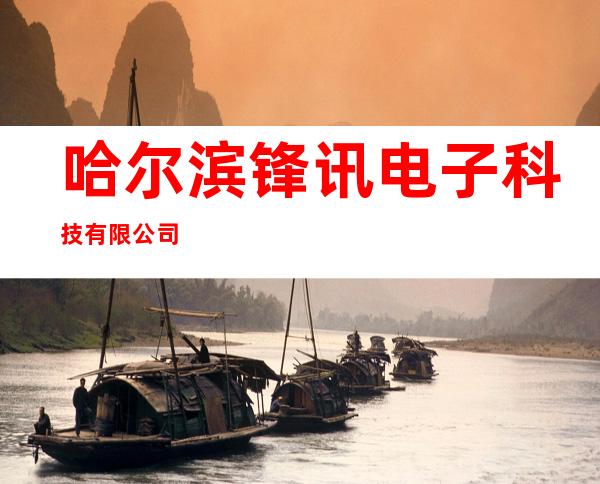 哈尔滨锋讯电子科技有限公司