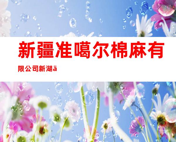 新疆准噶尔棉麻有限公司新湖七场分公司