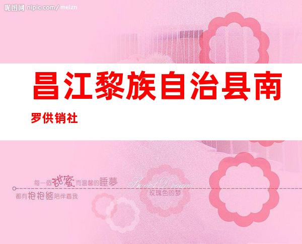 昌江黎族自治县南罗供销社