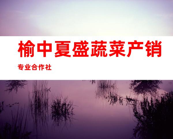榆中夏盛蔬菜产销专业合作社