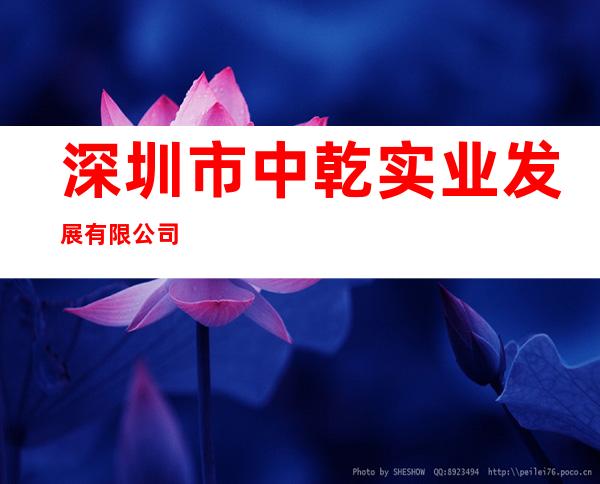 深圳市中乾实业发展有限公司