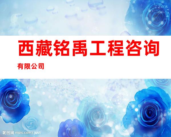 西藏铭禹工程咨询有限公司